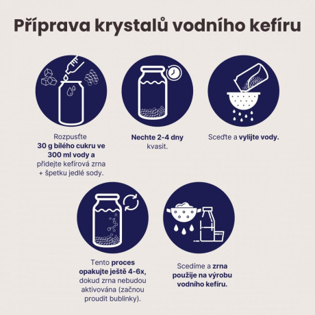 BrainMax Pure Vodní kefír, zrna, BIO, 5 g