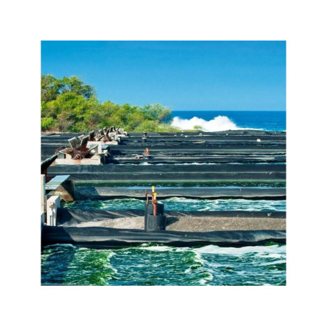 Havajský astaxanthin Vegan 6 mg, 60 kapslí