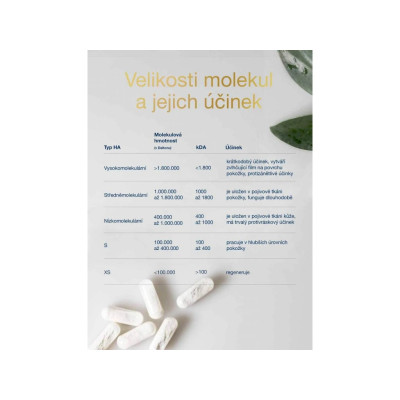 WoldoHealth Kyselina hyaluronová 90 kapslí, PegraStore.cz