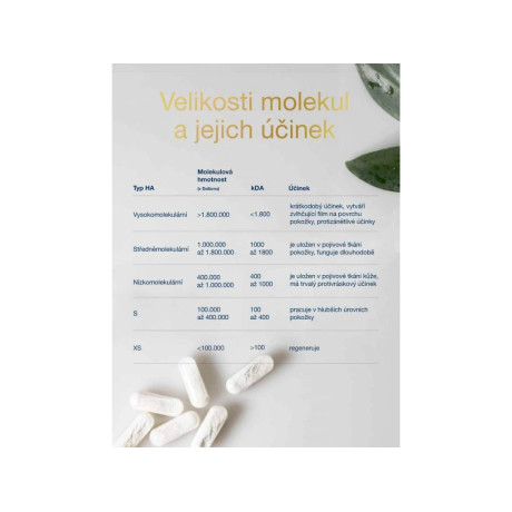 WoldoHealth Kyselina hyaluronová 90 kapslí, PegraStore.cz