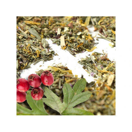 Herbarium Vysoký tlak, bylinný čaj 100 gr