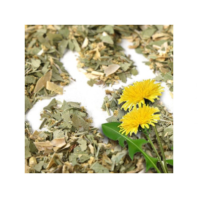 Herbarium Revma a dna, bylinný čaj 100 gr, pegrastore.cz