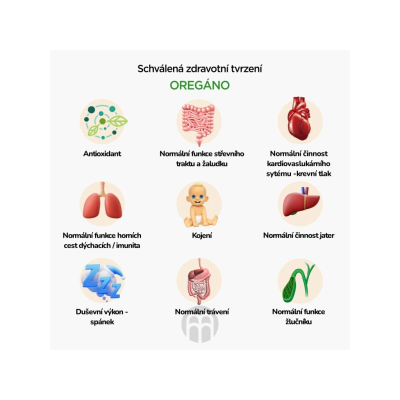 BrainMax Pure Oregano tinktura | Přírodní podpora zdraví | PegraStore