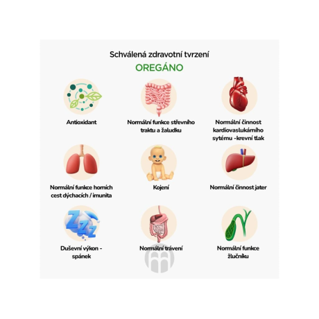 BrainMax Pure Oregano tinktura | Přírodní podpora zdraví | PegraStore