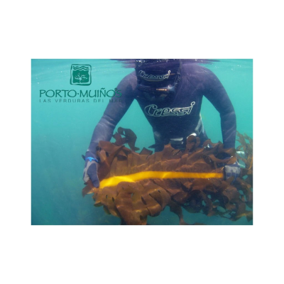 Porto-Muiños Sea Moss BIO 100 g | Mořský mech z Galicie | PegraStore