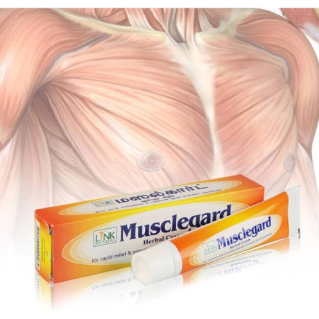 LINK Natural – Musclegard ájurvédská bylinná mast na svaly a klouby 25 g, PegraStore