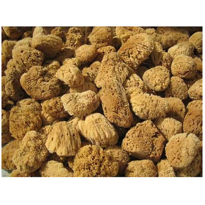 Přírodní mycí mořská houba, Pegrastore.cz