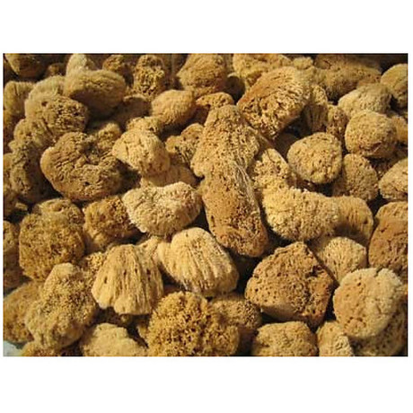 Přírodní mycí mořská houba, Pegrastore.cz