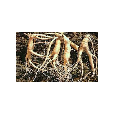 Ženšen bílý vegetariánské kapsle 100 ks