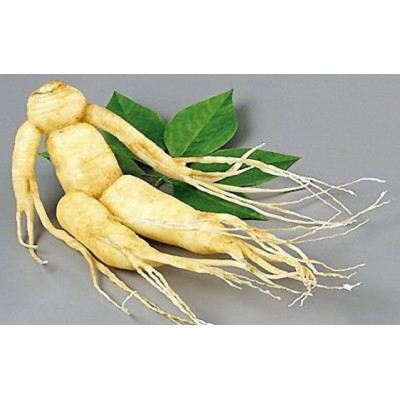 Ženšen bílý vegetariánské kapsle 100 ks