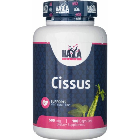 Haya Labs Cissus 500mg 100 kapslí, Pegrastore.cz