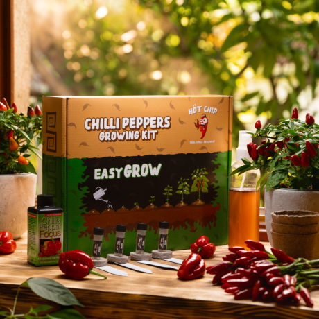Hot chip Dárková sada na pěstování chilli papriček – Easy Grow, Pegrastore.cz