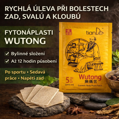 TianDe Kosmetická fytonáplast Wutong 5 ks - Bylinné náplasti pro lokální komfort svalů a kloubů