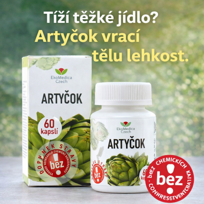 Když tělo nestíhá trávit, artyčok to vrací zpět do rovnováhy.