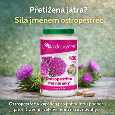 Praktická podpora jater a trávení v kapslích pro každý den.