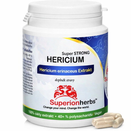 Soustředění. Klid. Výkon mysli.