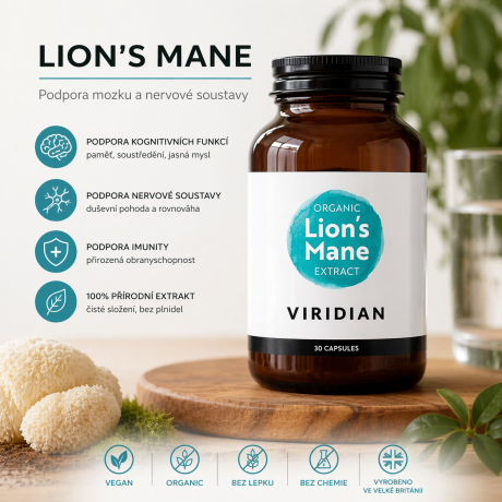 Lví hříva pro jasnou mysl, soustředění a mentální výkon.