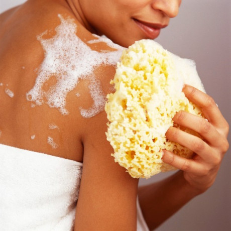 Přírodní mycí mořská houba