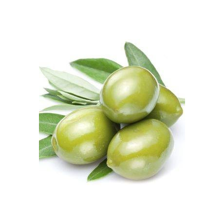 EXTRAKT Z OLIVOVÝCH LISTŮ 60 KAPSLÍ pro psychickou i fyzickou kondici