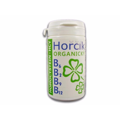 Organický hořčík s vit.skupiny B - HCY želatinové kapsle 60 ks