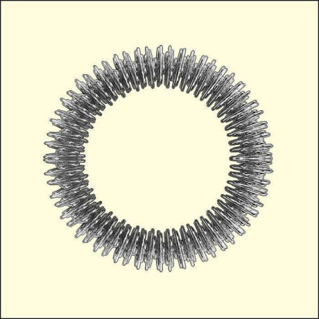 Náramek masážní terapeutický Su-jok zlatý