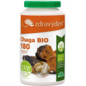 Zdravý den Chaga BIO 180 kapslí