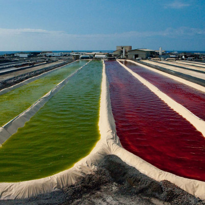 BioAstin Supreme, Havajský astaxanthin 6mg, Vegan