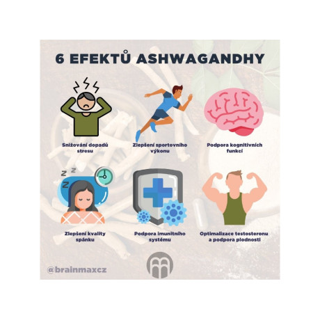 Performance Protein Dark Knight, 1000 g