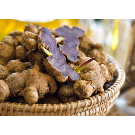 STRONGMANworld - Zázvor černý – speciálně pro muže