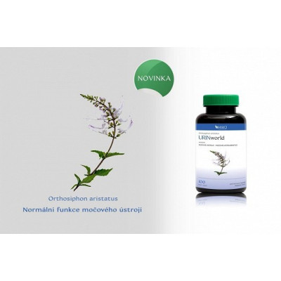 URINworld - Orthosiphon aristatus - močové ústrojí 100 cps