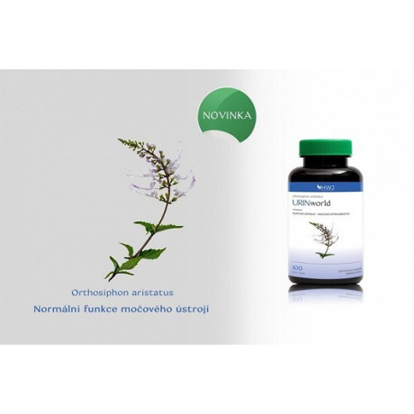 URINworld - Orthosiphon aristatus - močové ústrojí 100 cps