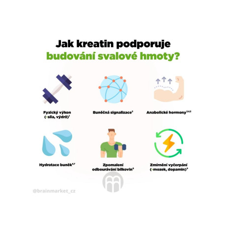 BrainMax Creapure Creatine, Kreatin monohydrát, 500 g