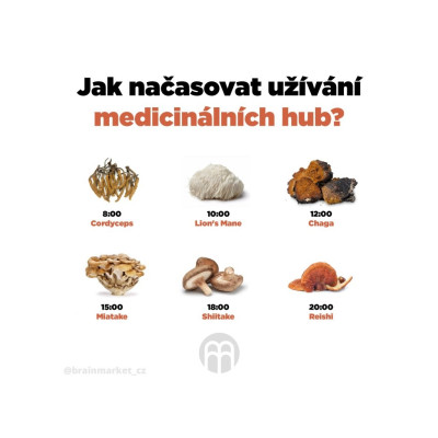 BrainMax Pure Turkey Tail (Coriolus) prášek, BIO 100g