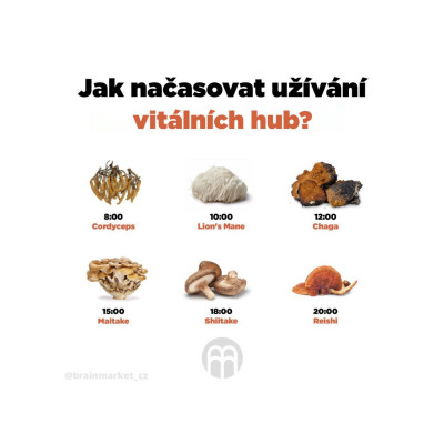 BrainMax Pure Maitake prášek BIO, 100g