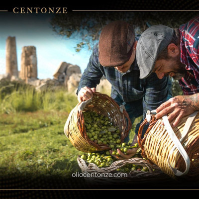 Extra Virgin Olive Oil Spray BIO 250ml, PegraStore.cz