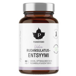 PUHDISTAMO Super Digestive Enzymes 60 kapslí (Super trávicí enzymy)
