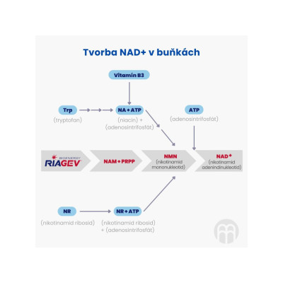 BrainMax NAD+ RiaGev, 750 mg, 100 rostlinných kapslí, PegraStore.cz