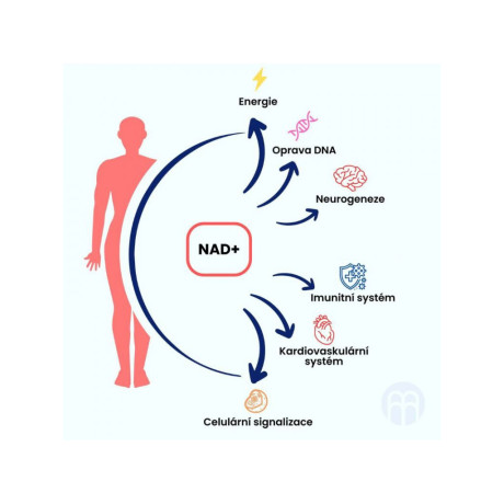 BrainMax NAD+ RiaGev, 750 mg, 100 rostlinných kapslí