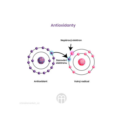 BrainMax Men Multivitamin, multivitamín pro muže, 90 rostlinných kapslí