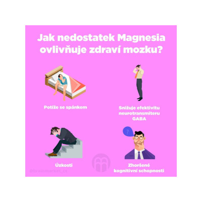 BrainMax Performance Magnesium® Powder (hořčík bisglycinát v prášku), 550 g