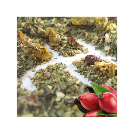 Herbarium Chřipka a nachlazení, bylinný čaj 100 gr