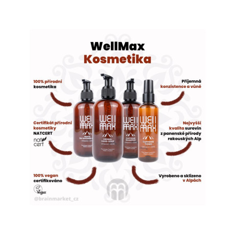 WellMax Pánský sprchový gel 3v1, 250 ml