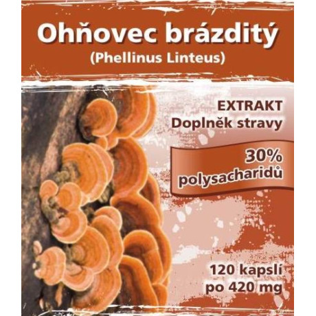 Naturgeen Ohňovec brázditý (Phellinus linteus) 100% čistý extrakt ve vegan kapslích 120 kapslí, PegraStore.cz