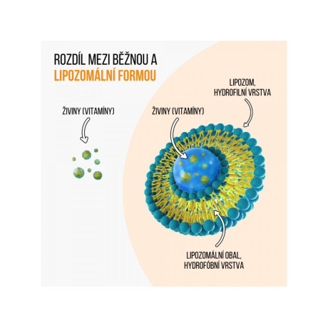 BrainMax IMMUNIZER! 60 rostlinných kapslí