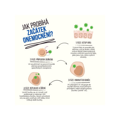BrainMax ImmuSpray, STRONG, sprej pro podporu imunitního systému, 30 ml