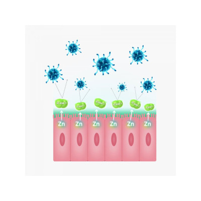 BrainMax ImmuSpray, STRONG, sprej pro podporu imunitního systému, 30 ml