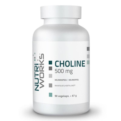 NutriWorks Choline 500mg 90 kapslí, PegraStore.cz