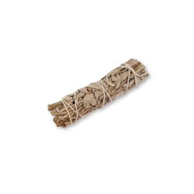 Šalvěj bílá, mini svazek 10 cm, 15 g, PegraStore.cz