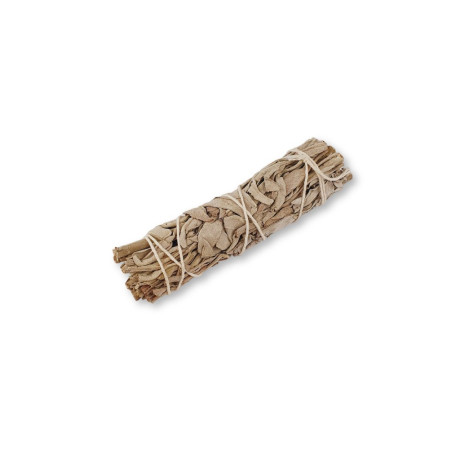 Šalvěj bílá, mini svazek 10 cm, 15 g, PegraStore.cz