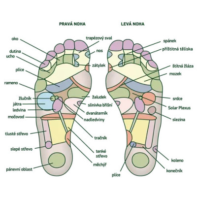 Detoxikační náplasti Chi Sana 10 ks, PegraStore.cz